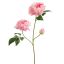 OPEN PEONY BRANCH 80CM CREAM PINK
