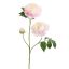 OPEN PEONY BRANCH 80CM PINK