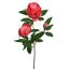 PEONY BRANCH 70CM CORAL