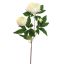 PEONY BRANCH 70CM CREAM