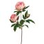 PEONY BRANCH 70CM CREAM PINK