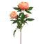 PEONY BRANCH 70CM PEACH
