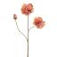 OPEN PEONY 64CM PEACH
