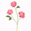 PEONY X 3 80CM BEAUTY