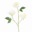 PEONY X 3 80CM CREAM