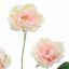 PEONY X 3 80CM PEACH