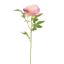 OPEN PEONY 65CM LAVENDER