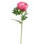 PEONY 70CM BEAUTY