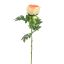 PEONY 70CM PEACH