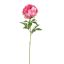 OPEN PEONY 80CM BEAUTY