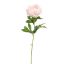 OPEN PEONY 80CM PINK