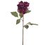 DAHLIA DRY LOOK 70CM PURPLE