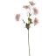 DAHLIA X5 SPRAY 73CM PINK