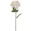 DAHLIA 60CM CREAM