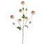 LARGE DAHLIA 127CM BEIGE