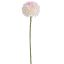 CURLED DAHLIA 64CM CREAM