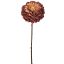 DAHLIA 60CM BROWN