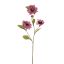 ZINNIA SPRAY 80CM LILAC