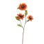 ZINNIA SPRAY 80CM ORANGE