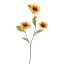 ZINNIA SPRAY 80CM YELLOW