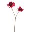 DAHLIA 100CM BEAUTY