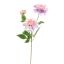 DAHLIA X3 SPRAY 65CM LILA