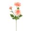 DAHLIA X3 SPRAY 65CM PEACH