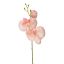 SMALL ORCHID SPRAY PINK