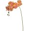 TROPICAL ORCHID 70CM ORANGE