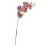 TROPICAL ORCHID 70CM PURPLE
