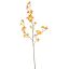 LARGE DANCING ORCHID 100CM YELLOW