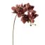 CYMBIDIUM 72CM BURGUNDY