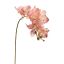 CYMBIDIUM 72CM PINK