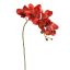 CYMBIDIUM 72CM RED