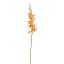 ORCHID 80CM ORANGE