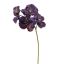 VANDA 62CM PURPLE