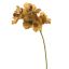 VANDA 62CM YELLOW