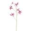 CYMBIDIUM 103CM LAVENDER