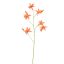 CYMBIDIUM 103CM ORANGE