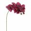PHALAENOPSIS 60CM BURGUNDY