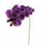 PHALAENOPSIS 60CM PURPLE