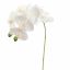 PHALAENOPSIS 60CM WHITE