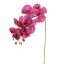 PHALAENOPSIS 85CM BURGUNDY