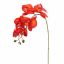 PHALAENOPSIS 85CM ORANGE