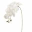 PHALAENOPSIS 85CM WHITE
