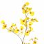 ONCIDIUM 80CM YELLOW