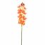 CYMBIDIUM 75CM ORANGE