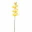 CYMBIDIUM 75CM YELLOW