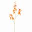 DANCING ORCHID 100CM ORANGE