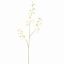 DANCING ORCHID 100CM WHITE